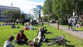 Austurvollur _minnkadur