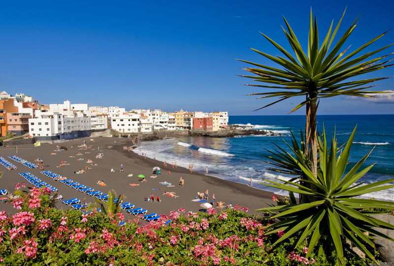 Tenerife North
