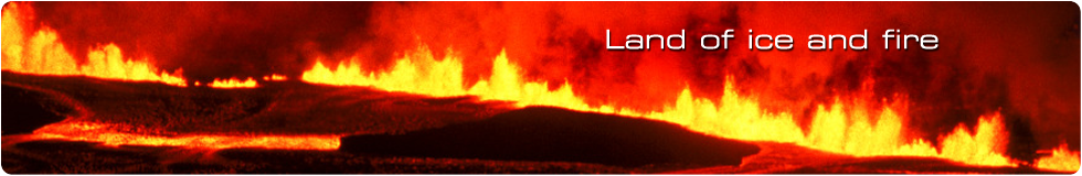 header 03