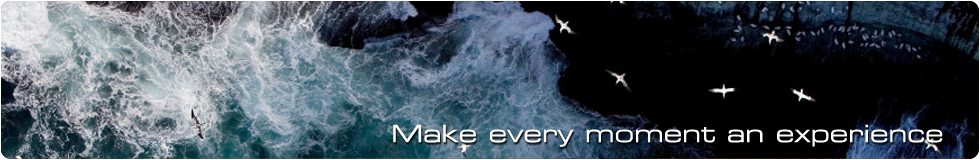 header 06