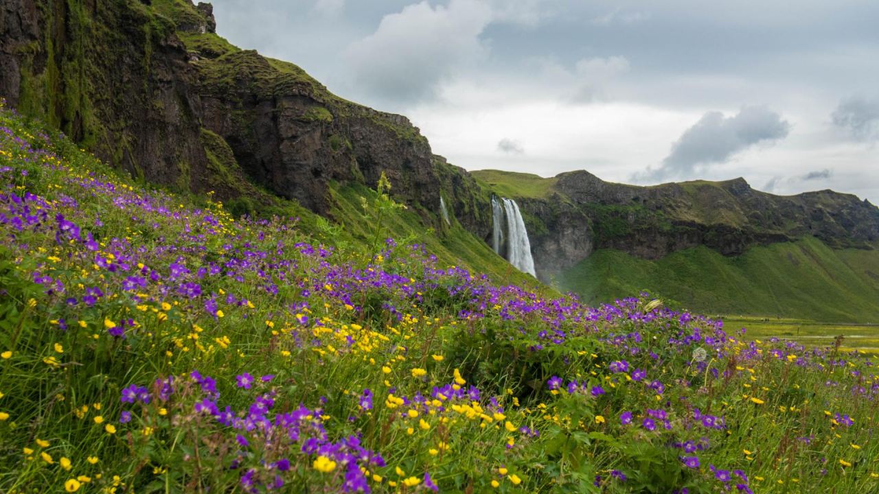 Seljalandsfoss
