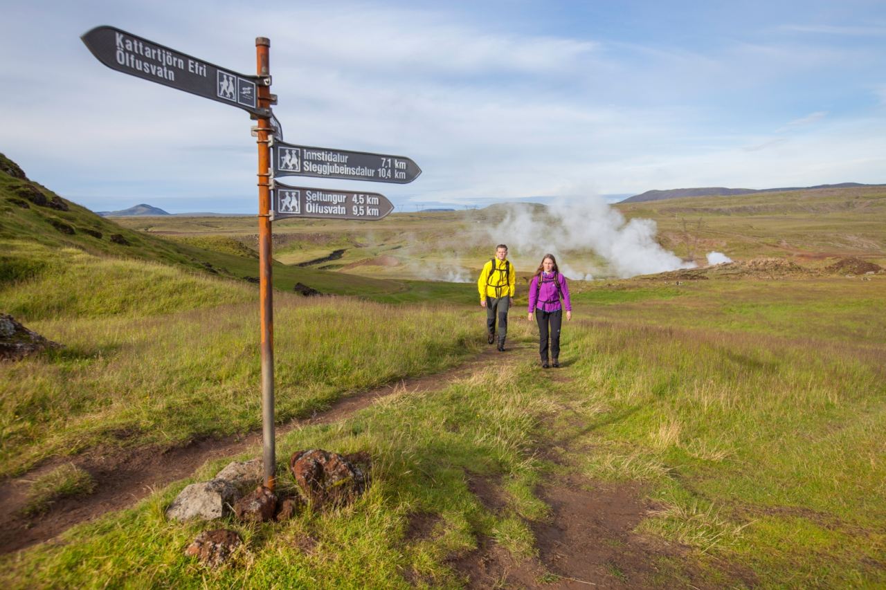 Hiking Day Tour to Reykjadalur