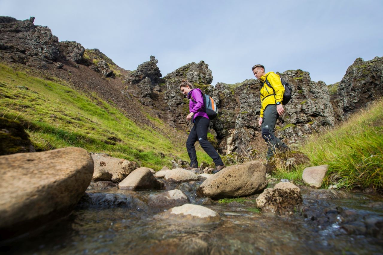 Reykjadalur Hike