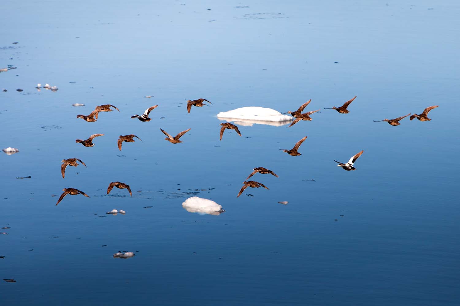 Day Tour in Kulusuk Greenland | Greenland.is