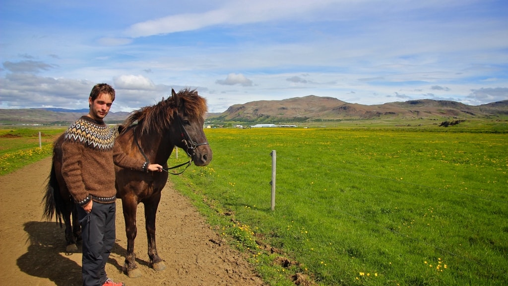 Horse back rider and his horse