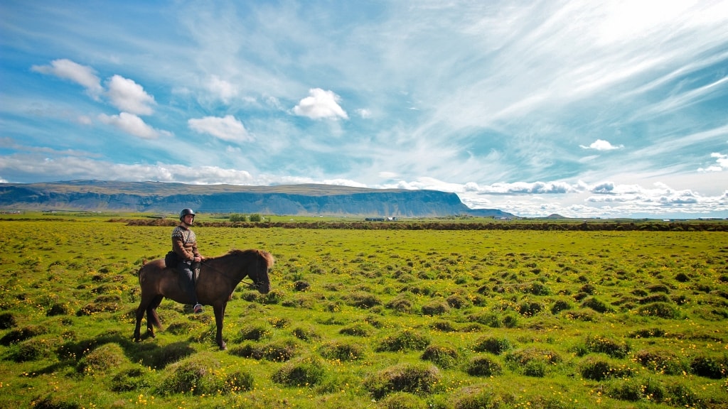 A rider on an Icelandic horse