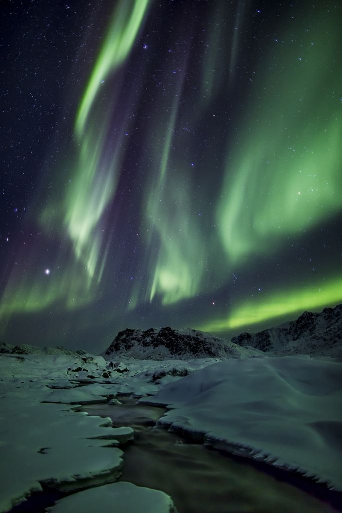 Ice, Dogs & Northern Lights